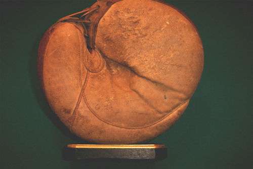 Early 1900's Crescent Catchers Mitt Youth Front