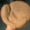 Early 1900's Spalding Crescent Catchers Mitt Brown Front
