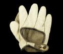 View the image: Early 1900's Spalding White Crescent Lefty Back
