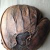Early 1900's Victor Hook and Eye Back Crescent Catchers Mitt Back