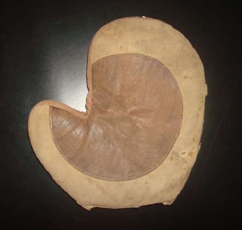 Youth Mitt Light Front