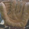 Everlast Glove Front