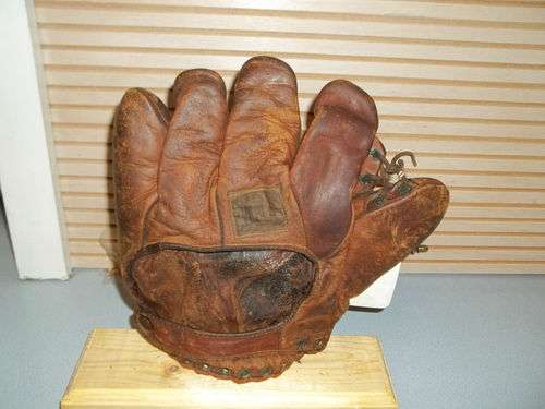 Everlast 8034 Back