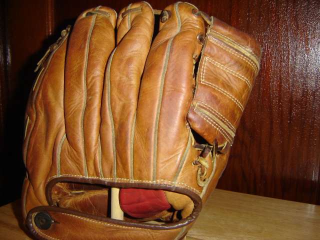 Everlast 8152 Back