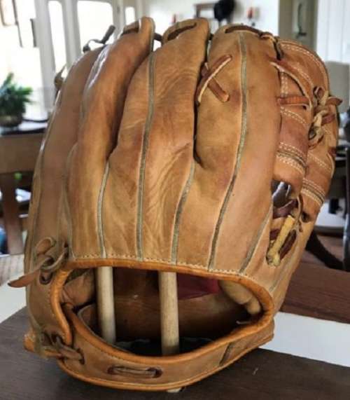 Everlast Glove Back