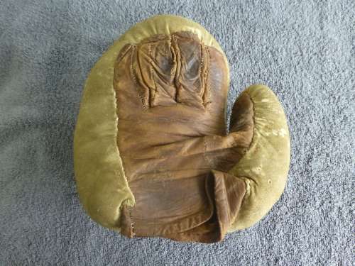 Boxing Glove Baseball Mitt Back