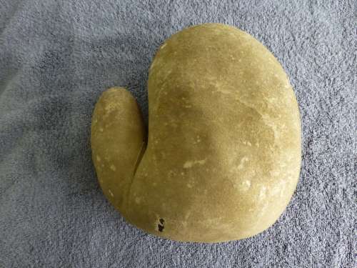 Boxing Glove Baseball Mitt Front