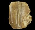 View the image: Folk Art Mitt Back