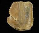 View the image: Folk Art Mitt Front