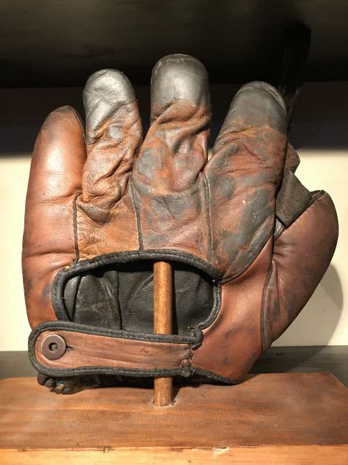 Folsom 17 1 Inch Web Back