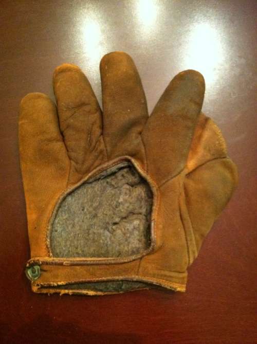 Buckskin Full Web Back