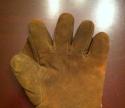 View the image: Buckskin Full Web Front
