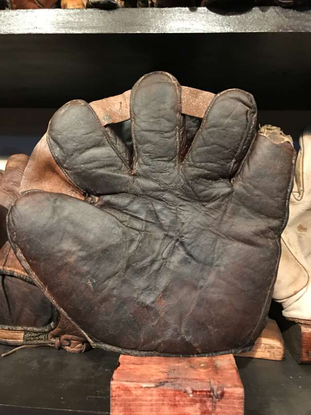 Full Web With Finger Webs Front