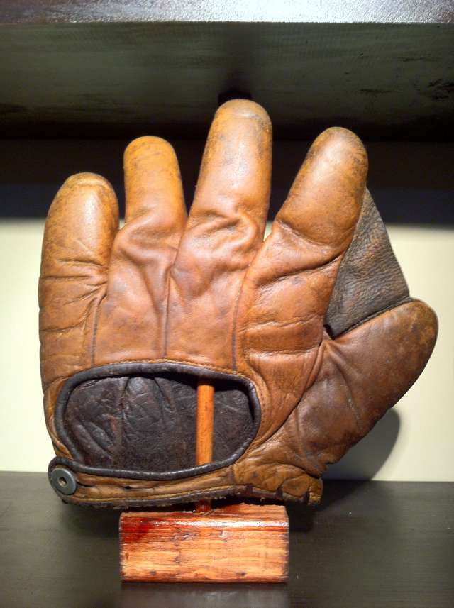 Goldsmith Full Web Brown Back