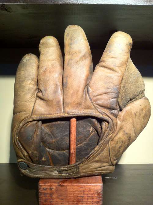 Goldsmith Full Web Brown Back