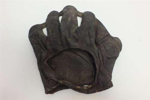 Goldsmith Strip Webs Back