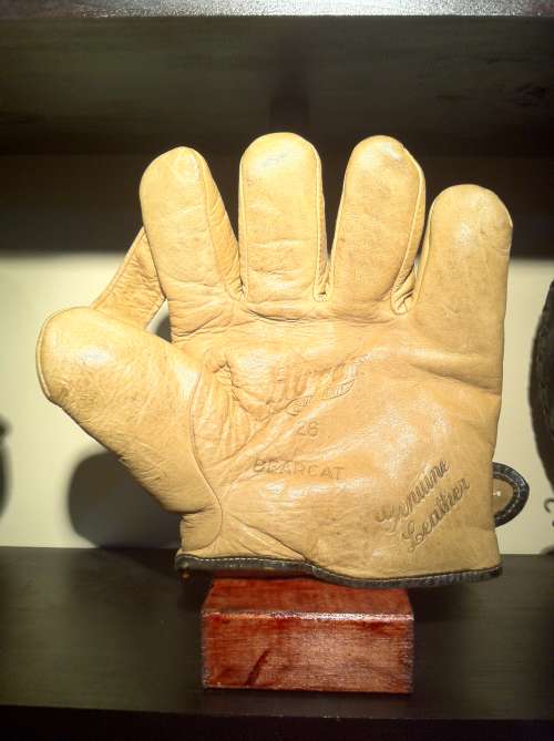 Hutch Bearcat 1 Inch Web Front