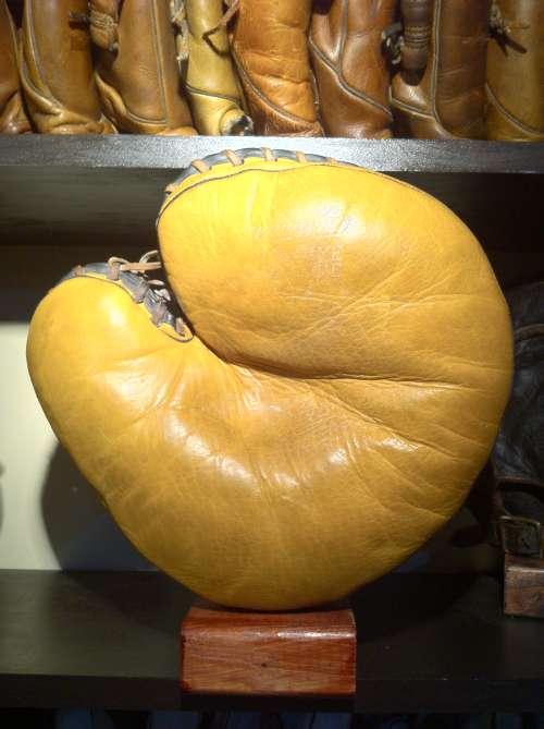 Winn Well Catchers Mitt Front - Canada