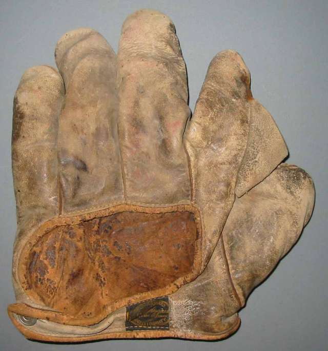 JC Higgins Full Web Back