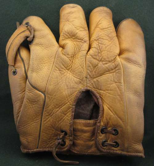 Goose Goslin JC Higgins 1653 Back