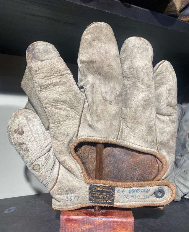 JC Higgins Full Web Back