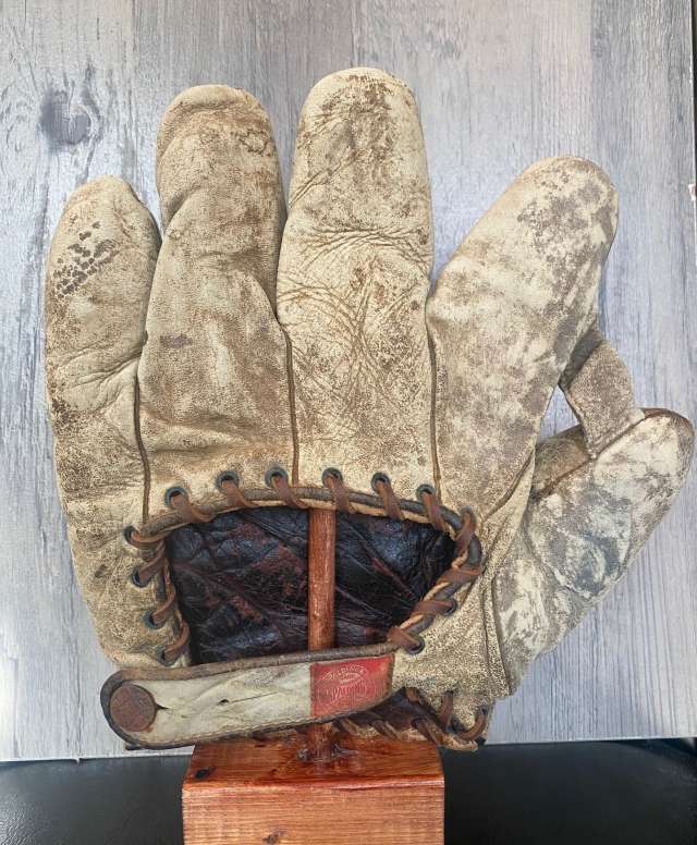 Spalding World Series King Patent Back