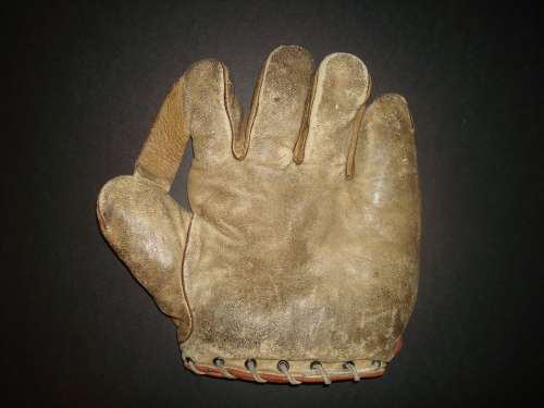 Norman Professional Model 1 Inch Web Front