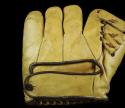 View the image: Big Yellow Splitfinger Back