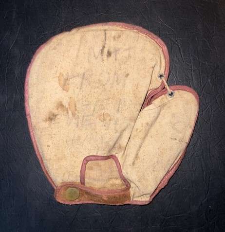 Fox R50 Youth Mitt Back