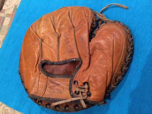 Gilly Campbell Gambles Back