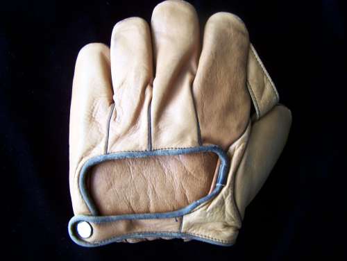 Pennant Bull Pup 1 Inch Web Back