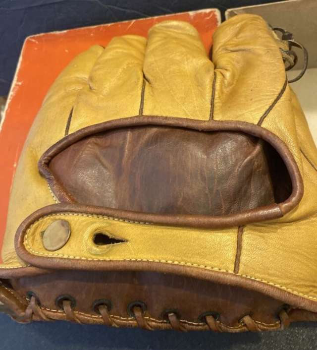 Pennant IK-457 Ball Hawk Back