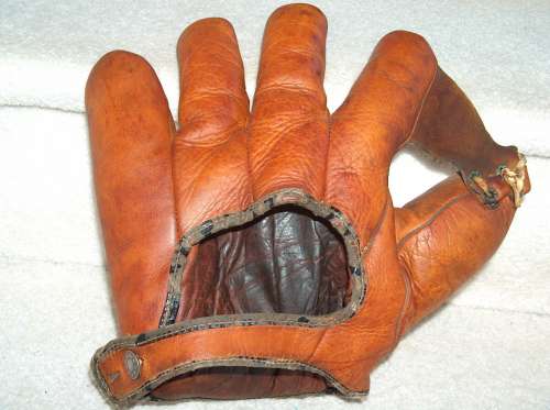 Rainey Type Web Glove Back