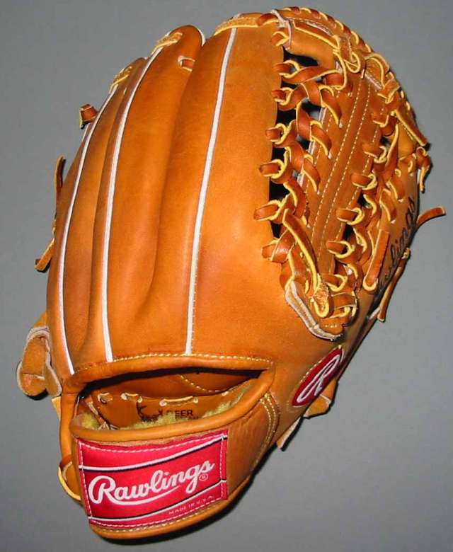 Rawlings Heart of the Hide Pro-204MT Back