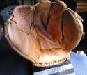 View the image: Stan Musial Rawlings PML Front