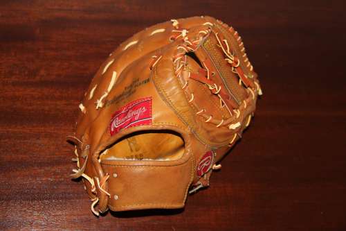 Steve Garvey Rawlings DCT Back