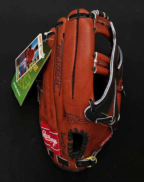 Cal Ripken Jr Rawlings RBG2131R Back