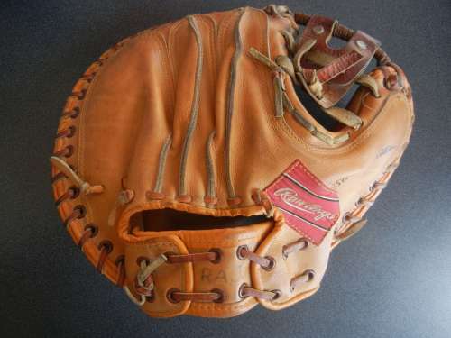 Del Rice Rawlings 241 Back