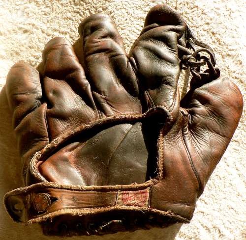 Rawlings Grommet Web Back