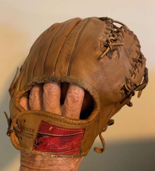 Rawlings TGP Heart of the Hide Back