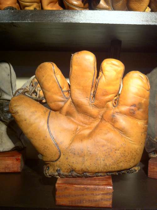 Raywill 270 Grommet Web Front