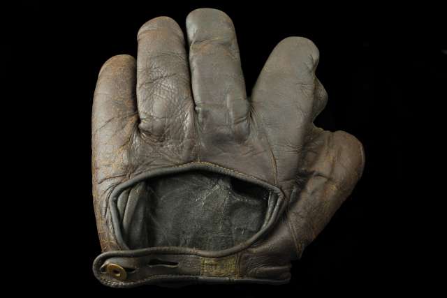 A.J. Reach Dark Brown Full Web Back