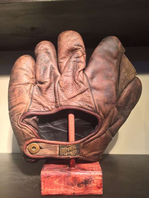 A.J. Reach Full Web Brown Back