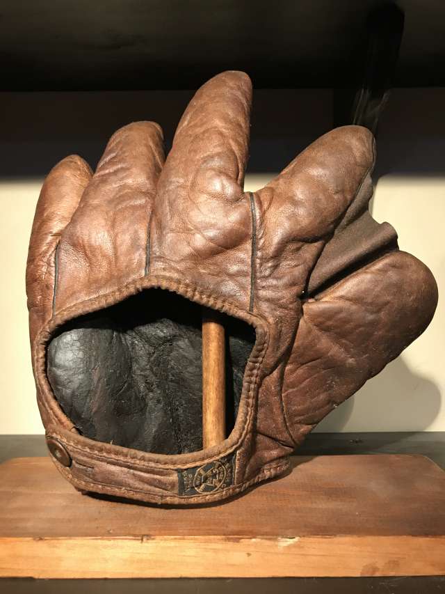 A.J. Reach Full Web Brown Back