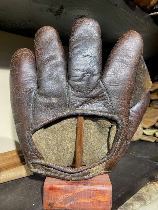 A.J. Reach Full Web Brown Back