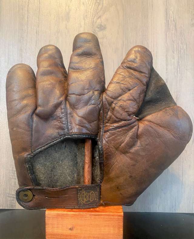 A.J. Reach Full Web Brown Back