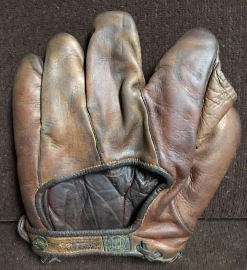 A.J. Reach Full Web Brown Back