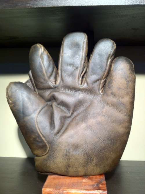 A.J. Reach Full Web Brown Front