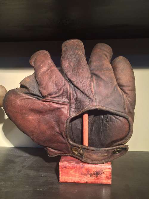 A.J. Reach Full Web Lefty Brown Back