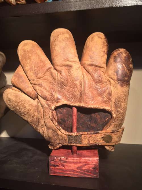 A.J. Reach Full Web Lefty Brown Back